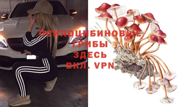 первитин Ладушкин